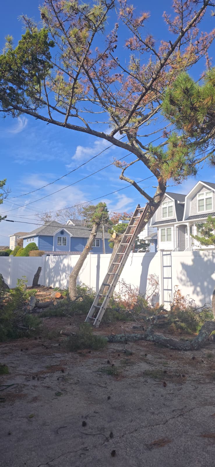 Sandoval Brothers Services LLC